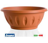CIOTOLA ALBA DIAMETRO 50cm CON SOTTOVASO