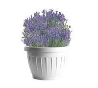 Bama Vaso per piante Nässestop S18 Earth Diametro 35 cm Bianco