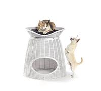 Bama Pasha Cuccia per Gatti e Cani, Ghiaccio, 52 x 50 x 55 cm