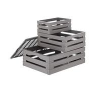 Bama Set 3 Cassette Tina Tris, Polipropilene, Tortora, Varie