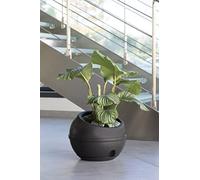 Bama VASO SFERA CON SOTTOVASO ANTRACITE