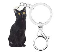 BAMAY Acrilico Halloween Nero Gatto Portachiavi Zucca Strega Gattino Portachiavi Accessori per Donne Ragazze Auto Chiavi Borsa Charms (Scuro)