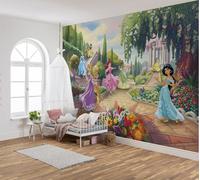Bambina Camera Foto Caratteristica Carta da Parati Murale Disney Princess Senza