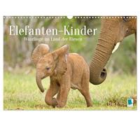 Bambini elefanti: minuscoli nel paese dei giganti (calendario da parete 2026 DIN A3 quer), calendario mensile CALVENDO: i bambini africani giocano nella protezione del tuo gregge (CALVENDO Animali)