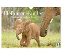 Bambini elefanti: minuscoli nel paese dei giganti (calendario da parete 2026 DIN A4 quer), calendario mensile CALVENDO: i bambini africani giocano nella protezione del tuo gregge (CALVENDO Animali)