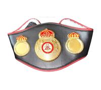 Bambini Mini Boxe Cintura Campionato,Ibo,Wbo ,Ibf ,Wba ,Wbc ,Replica Titolo