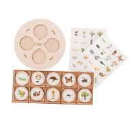 Bambini Montessori Life Cycle Tray Educational School Project Flash Cards