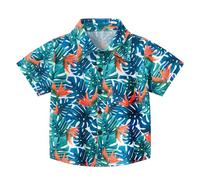 Bambini Ragazzi Ragazze Floreale Colorato Camicia Hawaiana Button Down Manica Corta Risvolto Turistico Costume Aloha Tropicale Camicie Grafica Estate Vacanza Cool Beach Casual Trendy Carino, Blu, 18-2