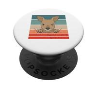 Bambino carino dentro. Simpatico canguro nella pancia PopSockets PopGrip Adesivo