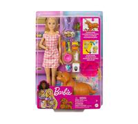 BAMBOLA BARBIE HCK75 - Articolata, Con Accessori, Materiale Plastica, Età 3-9 anni