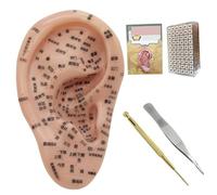 Bambola di agopuntura, kit di agopuntura auricolari kit di seme di seme di aurico morbido di cui 7,5 pollici..Modello auricolare, patch per le orecchie, pinzetta, penna della sonda, libretto dell'ore