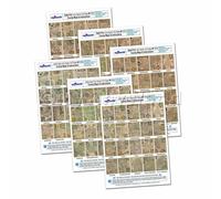 Bambole Casa 6 X Anticato John Velocità UK Contea Mappe A4 Valore Fogli (120 )