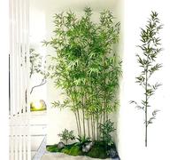 Bambù Alberi artificiali Siepe frangivista artificiale in bambù, Steli di bambù artificiali alti da 1,2 a 2,5 metri, Verde artificiale senza manutenzione per interni ed esterni(40 Poles,250cm/8.2 ft)