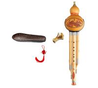 Bambù Hulusi Woodwind zucca Cucurbit Flauto per l'apprendimento musicale Esercizio Regalo b chiave piatta