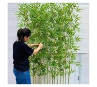 Bambù Piante Alberi artificiali Schermo Frangivista In Bambù Per Esterni, Balcone, Bambù Artificiale Smontabile Per Decorazione D'interni, Piante Di Bambù Finte In Plastica(15 Bamboos,150cm(4 9/10'))