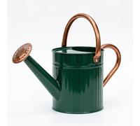 Bamworld Annaffiatoio da 2,4 Litri in Acciaio Zincato per Piante da Interno con Beccuccio Lungo - Ideale per Piante Domestiche e Fiori da Giardino (Verde Scuro)