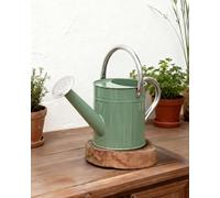Bamworld Annaffiatoio da 2,4 Litri in Acciaio Zincato per Piante da Interno con Beccuccio Lungo - Ideale per Piante Domestiche e Fiori da Giardino (Verde)