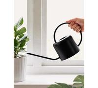 Bamworld Annaffiatoio in Acciaio Inox 1 Litro per Piante da Interno, Annaffiatoio Metallo con Beccuccio Lungo per Piante da Appartamento Bonsai Fiori Giardino (Nero)