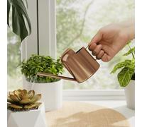 Bamworld Annaffiatoio Piccolo per Piante da Interno e Esterno, Metallo Nero Inox con Beccuccio Lungo, 300ml Bottiglia Decorativa per Bonsai Giardino Casa (Bronzo)