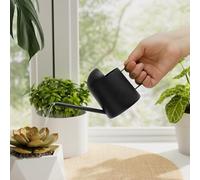 Bamworld Annaffiatoio Piccolo per Piante da Interno e Esterno, Metallo Nero Inox con Beccuccio Lungo, 300ml Bottiglia Decorativa per Bonsai Giardino Casa