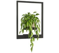 Bamworld Fioriere da appendere alla parete per piante da interno, per interni ed esterni, per finestre, mensole per piante da appendere, supporto per piante da parete, in metallo nero, decorazione per