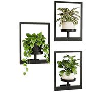 Bamworld Fioriere da appendere per piante da interno, decorazione da parete, supporto per piante per soggiorno, fioriere da parete per interni, per finestre, mensole per piante, confezione da 3 per