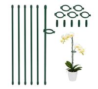 Bamworld Pali per Piante da 30 cm, Lunghezza Regolabile, 20 Bastoncini di Supporto per Piante Verdi, per Piante da Interno ed Esterno, Fiori Rampicanti