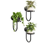 Bamworld Porta piante da interno in metallo da parete, portavasi da interno moderni, supporto per piante da interno salvaspazio, design nero minimal, adatto per soggiorno, balcone e giardino