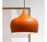 bamyum Plafoniera Arancia Lampada a Sospensione I Kreis I Diametro 30 cm Lampada da Salotte E27 Industriale in Metallo in Vintage