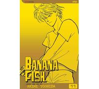 Banana Fish, Vol. 11: Volume 11