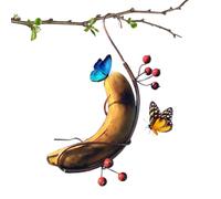 Banana Holder for Butterflies, Copper Hangable Butterfly Feeders for Outdoors, Banana Hanger for Butterflies Garden Decor