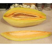 Banana melone 100 semi dolce facile crescere CombSH H25