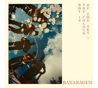 Bananagun Why Is the Colour of the Sky? (CD) Album