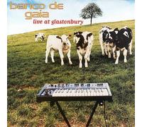 Banco De Gaia - Live at Glastonbury