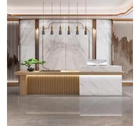 Bancone di ricevimento moderno con logo personalizzato e illuminazione a LED nascosta, bancone da scrivania in legno massiccio con spazio espositivo e stoccaggio, senza montaggio richiesto, E, 120 x