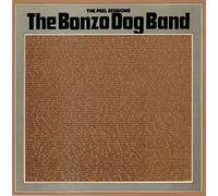 BAND OF SUSANS - the peel sessions LP