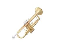 Banda Di Ottone Laccato Piatto Che Suona Professionalmente La Tromba Di Strumenti In Ottone(Color:Phosphor bronze blowpipe)