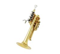 Banda Di Ottoni Con Tromba Saxophone In Ottone Che Suona Professionalmente Strumenti Nella Tonalità Di Si Bemolle Un'ottava Più Alta