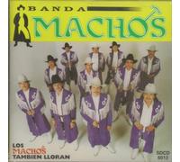 Banda Machos - Machos Tambien Lloran
