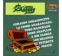 Banda Maguey - Banda Maguey
