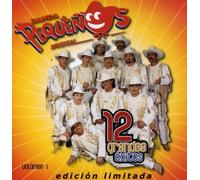 Banda Pequenos Musical - Vol. 1-12 Grandes Exitos