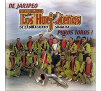 Banda Sinaloense Los Huejotenos De Badiraguato Sinaloa - "Puros Toros"