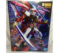 BANDAI MG Gundam SEED 1/100 Gundam Astray Red Frame Modello personalizzato in...