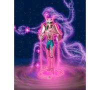 Bandai Saint Seiya Myth Cloth Shun Andromeda V1 20TH Anniversary Edition