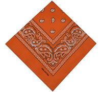 Bandana bandana fazzoletto da motociclista fazzoletto in cotone paradenti pirata, Colore: arancione., 1er