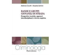 Bande e gruppi giovanili di strada. Prospettive teoriche, approcci interdisciplinari e ricerca empirica