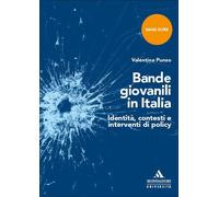 Bande giovanili in Italia. Identità, contesti e interventi di pol