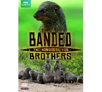 Banded Brothers: The Mongoose Mob [Edizione: Regno Unito]