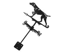 Banderuola Indicatore Direzione Del Tempo Segnavento Statua Cane All'aperto