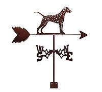 Banderuola segnavento in Metallo per Esterni, banderuola segnavento da Giardino, Resistente Strumento di misurazione in Acciaio Inossidabile per Montaggio su Tetto estern